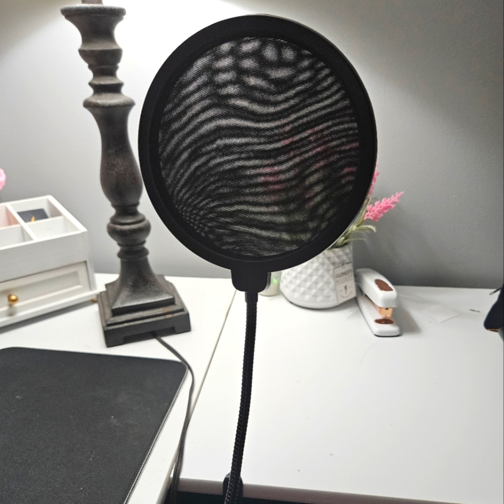 Voice filer